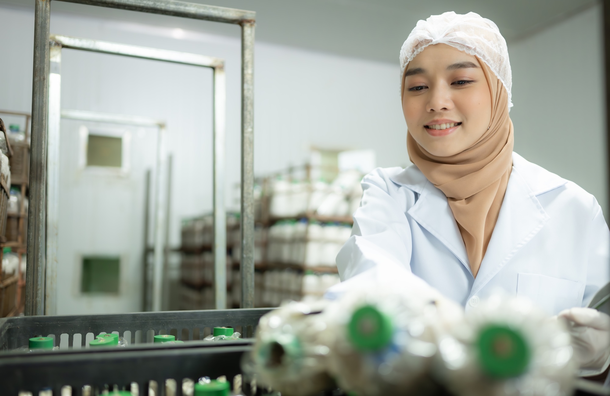 young asian muslim female scientist doing research at a mushroom factory, examining mushroom leavening agent in a sterile and temperature controlled room.